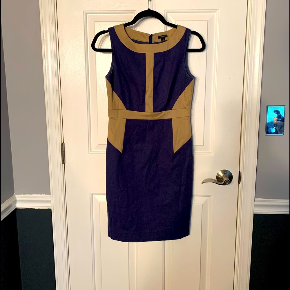 Ann Taylor Dress
